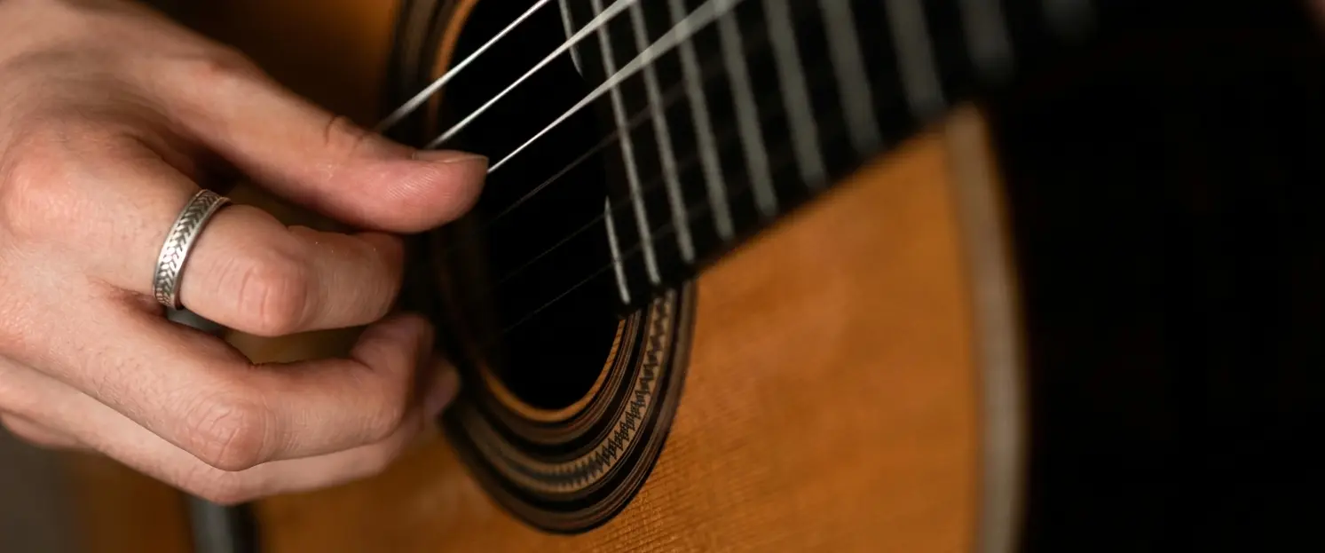 Guitar